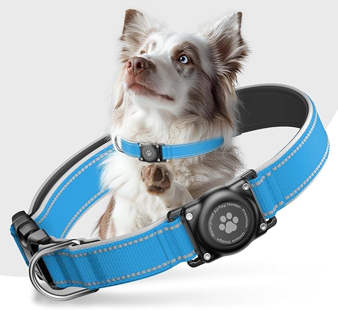Airtag Dog Collar - 100% Waterproof Air tag Dog Collar Holder for Apple AirTag, Reflective, Soft Padded, Everlasting, GPS Dog Collar for Small Medium Large Dogs (Blue, S)