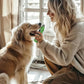 YABIFE 7-Speed Pet Nail Grinder with Light – Heavy Duty, Whisper Quiet Nail Trimmer for Dogs, Cats, Birds & Small Animals – Single-Handed Operation