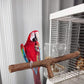4 Pcs Natural Wooden Bird Perch Parrot Stand, 2 Grape Wood Perches, A Stand Fork Standing Branch, A Paw Grinding Fork, Bird Cage Accessories for Parakeets, Birdcage Sticks & Toys for Budgies, Finches