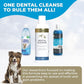 Petscy - Dental Cleanse, All-Natural Cat & Dog Tartar Remover for Teeth, Cat & Dog Water Additive for Dental Care, Suitable for All Ages, Breeds & Sizes, 8 Oz
