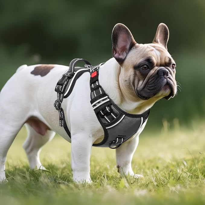 Timos Dog Harness Medium Sized, No Pull with Neck Lockable Snap,No Choke Front Clip Dog Reflective Harness,Adjustable Metal Rings 3 Buckles,Easy Control Handle for Medium Dogs Gray M