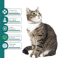 Flea and Tick Collar for Cats. Offers 4 * 6 Months of Protection. Made from Quality Essential Oils. Waterproof and Natural. Protects Kittens. Free Flea Comb and Tick Tweezers. (4 Pack - 13.8 inches)