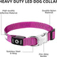 PetIsay LED Dog Collar Metal Buckle - Heavy Duty Light up Collars - Rechargeable IP68 Waterproof - Lighted Dog Collar for Night Walking, Hiking, Camping (Medium, Purple)