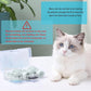 4 Pieces Cat Scratch Cover for Nursing Rehabilitation Cat Boots for Cats Only, Adjustable Cat Bathing Gloves (Grey)