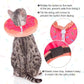 BEAUTYZOO Cat Cone Collars Soft, Cat Recovery E Collars After Surgery to Stop Licking, Adjustable Elizabeth Circle Collar Cute Pet Donut Pillow for Cats Kitten Small Dogs, Pink M