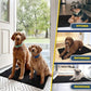 Muddy Mat® Pack of 3 Highly Absorbent Microfiber Dog Door Mat and Pet Rug, Non Slip Thick Washable Area Mat Soft Chenille for Kitchen Bathroom Bedroom and Outdoor - Black Small, Medium & Large