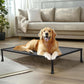Veehoo Chew Proof Dog Bed, Non-Chewable Cot for Large Dogs, Anti-Scratch Durable Hammock Raised Place for Training Platform, Outdoor Cooling Off Ground, CWC2420ACP