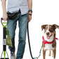 32" Pooper Scooper for Large Medium Small Dogs with Bag Attachment, Extra Long Handle Heavy Duty with 30 Dog Poop Bags & 1 Dispenser Poop Scoop, Foldable Dog Poop Picker Upper for Yard