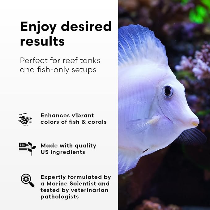Brightwell Aquatics Rēplenish – Premium Trace & Minor Element Supplement for Marine Aquariums, Supports Healthy Fish, Corals, and Invertebrates, 20 L