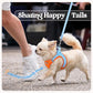 rabbitgoo Dog Harness Small Medium Sized and Leash Set, Step in Soft Light Puppy Vest, Breathable Mesh Pet Harness, Reflective for Safe Easy Walking, Blue & Orange XL