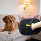 Reusable Pet Hair Removal Gloves, Electrostatic Hair Remover, Efficient Grooming Gloves for Pet Hair, Dog and Cat Fur Electrostatic Gloves for Couch, Clothes, Carpet, Bed Sheet