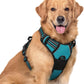 rabbitgoo Dog Harness No Pull with 2 Leash Clips, Adjustable Soft Padded, Reflective Oxford No Choke Pet Vest with Easy Control Handle for Large Dogs, Teal, XL