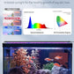 Pawfly 21W Aquarium LED Light for 30 to 36 Inch Fish Tanks Extendable Fish Tank Light with Full Spectrum Brilliant White Blue Red Lights with Daytime & Night Modes and Adjustable Brightness