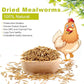 Mealworms, High-Protein Dried Mealworms for Birds, Chickens, Turtles, Fish, Hamsters and Hedgehogs, Non-GMO and Chemical Free, All Natural Animal Feed (10oz)