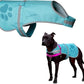 Dog Reflective Vest – Hi-Vis Fluorescent Visibility That Helps to Safeguard Your Pet On/Off Leash in Urban & Rural Areas (Teal, Small)