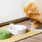 Ceramic Slow Feeder Dog Bowls Small Breed, 0.6 Cups Dog Food Dish for Fast Eaters, Puzzle Bowl for Small Dogs and Cats,White