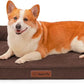 Orthopedic Dog Beds Large Sized Dog, 3 Inch Memory Foam Pet Bed for Medium and Large Dogs, Washable Removable Cover, Nonskid Bottom, Waterproof, 41x27 Inches XL Brown Grey
