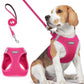 rabbitgoo Dog Harness Small Medium Sized and Leash Set, Step in Soft Light Puppy Vest, Breathable Mesh Pet Harness, Reflective for Safe Easy Walking, Rose Red L