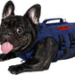 OneTigris Tactical Dog Harness for Small Dogs with Handles, Mesh Design Service Dog Vest Breathable Military Dogs Molle Vests with Handles, Harness for Walking Hiking Training (Blue, XS)