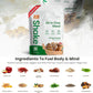 310 Nutrition All-In-One Meal Replacement Shake Powder - Plant-Based Protein Smoothie Blend w/High Fiber, Probiotics & Adaptogens - Low Carb, Vegan, Keto & Paleo Friendly - Gingerbread - 14 Srv