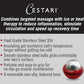 Cryosphere Massage Ball Hot Cold Roller Ball - Fast Muscle Pain Relief - Stainless Steel Balls for Heat or Ice Therapy - Feet Pain - Plantar Fasciitis- Back Ache - Foot Massager - 60 mm Ice Roller