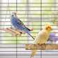 Bird Perches for Cage 6pcs Natural Bird Stand Branch for Cage with Hanging Bridge, Parrot Swing Toys Chewing Climbing Standing Branches Wood Pole Paw Grinding Fork Parakeet Platform