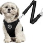 SlowTon Dog Seat Belt Harness for Car, Dog Car Harness Adjustable Mesh Breathable & Dog Seatbelt Safety Tether with Elastic Bungee for Small Medium Large Pets(Black, Double Clip, XS)