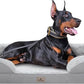 XXL Orthopedic Dog Bed - Washable Dog Sofa Beds for Giant Dogs, Supportive Foam Pet Couch Bed with Removable Washable Cover, Waterproof Lining and Nonskid Bottom