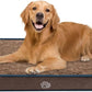 EMPSIGN Dog Bed Mat 41 Inch Reversible Warm & Cool,Washable Dog Crate Bed with Egg Crate Foam Support, Pet Sleeping Mat for Large Medium Small Dogs, Fluffy Kennel Pad(Brown)