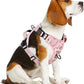 Timos No Pull Dog Harness, Release at Neck Reflective 3 Snap Buckles Adjustable No Choke Pet Vest with Front & Back 2 Leash Clips, Soft Padded Control Training Handle for Small Medium Large Dogs
