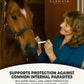 Horse Paste 1.87% – Apple Flavored Wormer – 6.08g Tube – Treats Up to 1250 lb (4 Pack)