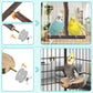 Bird Perches, 6 Pcs Natural Wood Parrot Perch Stand Chew Toys, Hanging Multi-Branch Parrot Perch Platform Swing Toy Cage Accessories for Small Parakeets, Budgies, Lovebirds, Canaries, Finches