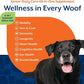 NaturVet All-in-One Senior Dog Daily Care Supplement, 8-in-1 Support Dog Soft Chews for Mobility, Skin, Heart, Teeth, Cognition, Eyes, Hickory Smoked Bacon Flavored Pet Supplement for Dogs, 60 Count