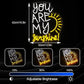 You Are My Sunshine Neon Sign Dimmable Pretty Sunshine Neon Light for Wall Decor USB Powered Sunrise Led Light Up Sign for Wedding Bedroom Lovers Party Celebrate Decor