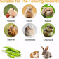 Pea Flakes for Guinea Pigs - Pet Treats, Suitable for Chinchillas, Rabbits, and Small herbivorous Animals (10 Ounce (Pack of 1))