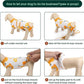 Kuoser Recovery Suit for Dogs Cats After Surgery, Professional Pet Recovery Shirt Dog Abdominal Wounds Bandages, Substitute E-Collar & Cone,Prevent Licking Dog Onesies Pet Surgery Recovery Suit