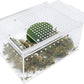 Reptile Terrarium Enclosure 8"x6"x4" Acrylic Tarantula Breeding Box Magnetic Hermit Crab Habitat Tank Transparent Jumping Spider Cage for Lizard Scorpion Sling Isopods Invertebrates Insect