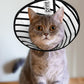 Custom Cat Cone Collar Soft Lick Prevention Pet Recovery Collar for Spay Safety Elizabethan Collar
