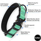 Plutus Pet Tactical Dog Collar, Reflective, Adjustable Heavy Duty Dog Collar, Soft Padded and Comfortable, for Small Medium and Large Dogs (Teal, L)