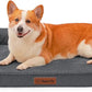Orthopedic Dog Beds Large Sized Dog, 3 Inch Memory Foam Pet Bed for Medium and Large Dogs, Washable Removable Cover, Nonskid Bottom, Waterproof, 36x27 Inches L Dark Grey