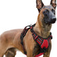rabbitgoo Dog Harness for Large, No Pull Pet Harness with 3 Buckles, Adjustable Soft Padded Vest with Control Handle, Walking Reflective Pet Vest for Extra Large Dogs, Red, XL