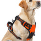 PUPTECK No Pull Dog Harness for Large, Adjustable Reflective Dog Harness with Handle Easy Control, Comfortable Soft Padded Pet Vest Harness for Large Dogs, Orange L