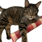 15" Catnip Cat Kicker Toys/Kitty Kick Sticks/Cat-Nip Kick Sticks (Beige and Red Plaid) (Kickers Filled with 1 oz Premium Canadian Catnip)