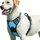 Eagloo Dog Harness for Large Dogs, No Pull Service Vest with Reflective Strips and Control Handle, Adjustable and Comfortable for Easy Walking, No Choke Pet Harness with 2 Metal Rings, Sky Blue, L