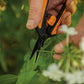 Fiskars 6" Pruning Scissors (2-Pack) for Flowers, Buds, Weeds and Small Plants, Garden Snips with Resin Resistant Nonstick Stainless Steel Blades, Gardening Trimmers with Comfortable Handle