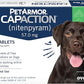 PetArmor CAPACTION (nitenpyram) Oral Flea Treatment for Dogs, Fast Acting Tablets Start Killing Fleas in 30 Minutes, Dogs Over 25 lbs, 6 Doses