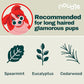Pets - Revitalizing 2-1 Shampoudle, 16oz, Moisturizing and Gentle All Natural pet Shampoo with Spearmint, Cedarwood, Eucalyptus, and Oatmeal