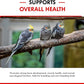 Morning Bird Calcium Plus Liquid Supplement for Birds - Liquid Calcium Formula with Magnesium and Vitamin D3 Calcium Supplement for All Birds – 4 Fl Oz