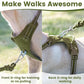 No Pull Dog Harness, Reflective Puppy Vest for Small Medium Large Sized Dog (Misty Green,L)
