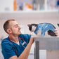 Cat Recovery Suit for Male and Female Surgical Post Surgery Soft Cone Onesie Tie Dye Cats Shirt Clothes Neuter Licking Protective Diapers Outfit Cover Kitten Spay Collar Alternative(Navy Blue, S)